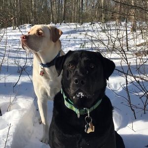 Meet your Posher, Andrew